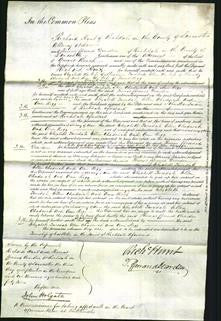 Court of Common Pleas - Elizabeth Twadale, Ellen Chadwick and Ann Rigg-Original Ancestry