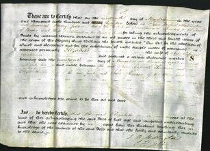 Deed by Married Women - Elizabeth Southern-Original Ancestry