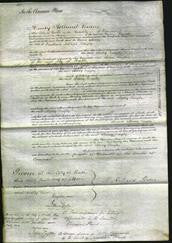 Court of Common Pleas - Mary Bayly #2-Original Ancestry