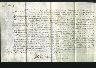 Court of Common Pleas - Jane Clappison and Emma Dix-Original Ancestry