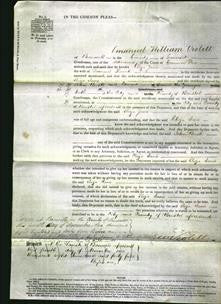 Court of Common Pleas - Eliza Jane Roach-Original Ancestry