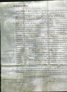 Court of Common Pleas - Mary Jenkinson, Mary Ann Walker and Rhoda Goodall-Original Ancestry