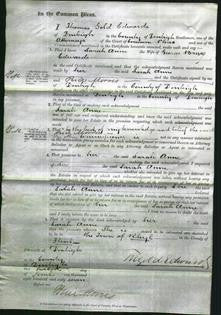 Court of Common Pleas - Sarah Anne Edwards-Original Ancestry