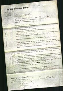 Court of Common Pleas - Rachel Stones-Original Ancestry