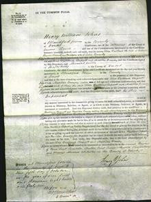 Court of Common Pleas - Eliza Bestland Clapcott and Matilda Dansey-Original Ancestry