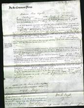 Court of Common Pleas - Mary Enfield-Original Ancestry
