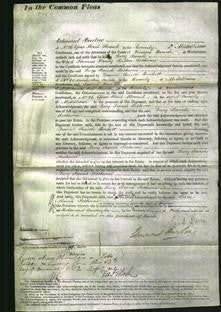 Court of Common Pleas - Lucy Sarah Sotheron-Original Ancestry