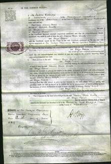 Court of Common Pleas - Mary Ann Smith and Eliza Crane-Original Ancestry