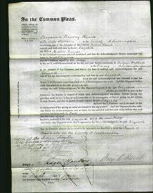 Court of Common Pleas - Elizabeth Pounds-Original Ancestry