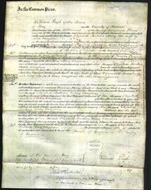Court of Common Pleas - Elizabeth Fortune Mary Vaughan-Original Ancestry