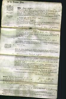 Court of Common Pleas - Elizabeth Gifford-Original Ancestry