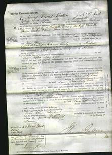 Court of Common Pleas - Susan Sophia, Lady Dacre-Original Ancestry