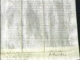 Court of Common pleas - Sarah Wigzell-Original Ancestry