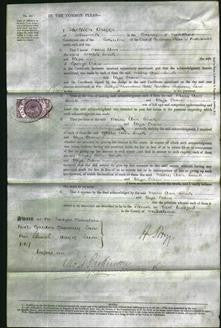 Court of Common Pleas - Mary Ann Smith and Eliza Crane-Original Ancestry