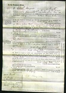 Court of Common Pleas - Mary Hall-Original Ancestry