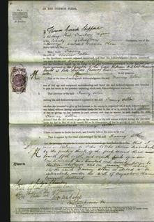Court of Common Pleas - Fanny Allen-Original Ancestry