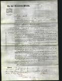 Court of Common Pleas - Elizabeth Woodcock-Original Ancestry