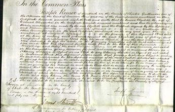 Court of Common Pleas - Elizabeth Alexander-Original Ancestry