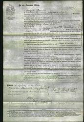 Court of Common Pleas - Sarah Walker Simpson-Original Ancestry