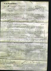 Court of Common Pleas- Grace Anna Kent-Original Ancestry