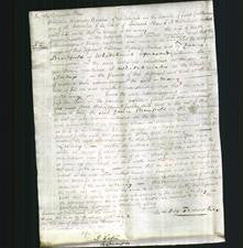 Court of Common Pleas - Mary Duddleston-Original Ancestry