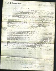 Court of Common Pleas - Elizabeth Fortune Mary Vaughan-Original Ancestry