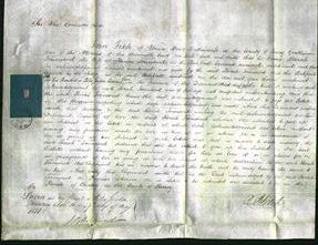 Court of Common Pleas - Sarah Townsend-Original Ancestry