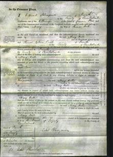 Court of Common Pleas - Mary Hall-Original Ancestry