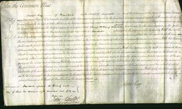 Court of Common Pleas - Elizabeth Ashton-Original Ancestry