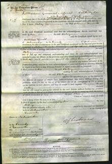 Court of Common Pleas - Betsey Howorth-Original Ancestry