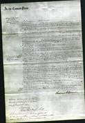 Court of Common Pleas - Mary Reavill-Original Ancestry