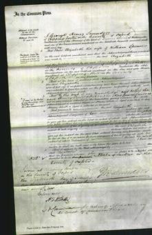 Court of Common Pleas - Elizabeth Spencer-Original Ancestry