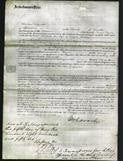 Court of Common Pleas - Elizabeth Wilson-Original Ancestry