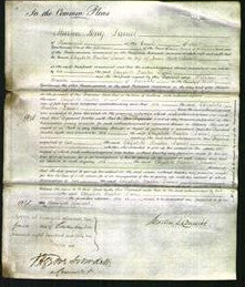 Court of Common Pleas - Elizabeth Hurton Daniel-Original Ancestry