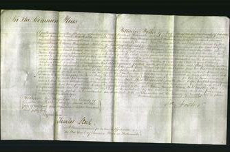 Court of Common Pleas - Mary Watson-Original Ancestry