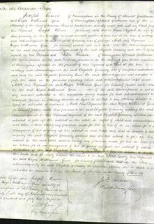 Court of Common Pleas - Elizabeth Greenway-Original Ancestry