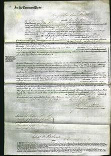 Court of Common Pleas - Eliza Louisa Napier-Original Ancestry