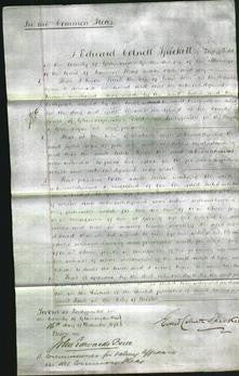 Court of Common Pleas - Julia John-Original Ancestry