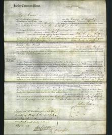 Court of Common Pleas - Ann Ward-Original Ancestry