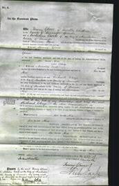 Court of Common Pleas - Alice Glover-Original Ancestry