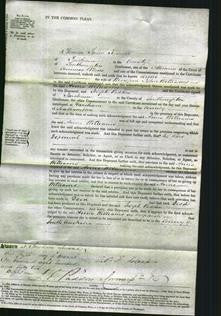 Court of Common Pleas - Anne Williams-Original Ancestry