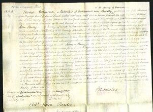 Court of Common Pleas - Hannah Hopkins, Sophia Somers-Original Ancestry