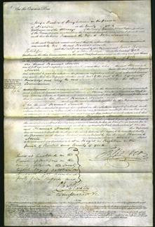 Court of Common Pleas - Hannah Nowell-Original Ancestry