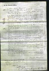 Court of Common Pleas - Elizabeth Hale and Maria Youd-Original Ancestry