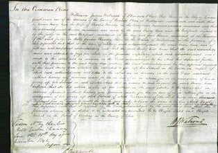 Court of Common Pleas - Mary Ann Mundy-Original Ancestry