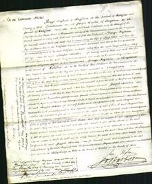 Court of Common Pleas - Mary Collins and Ann Law-Original Ancestry