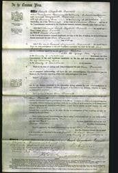 Court of Common Pleas - Ann Furrell-Original Ancestry