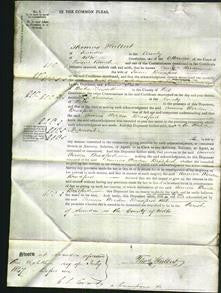 Court of Common Pleas - Annica Werden Bradford-Original Ancestry