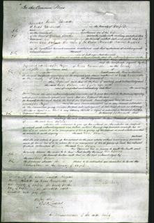 Court of Common Pleas - Ann Palmer Travers-Original Ancestry