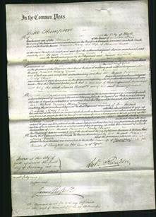 Court of Common Pleas - Frances Mary Dewse-Original Ancestry